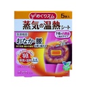 LKK-B2250_Kao MegRhythm Hot Steam Heatin.jpg
